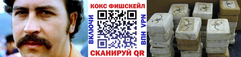COCAIN Columbia  Советская Гавань 