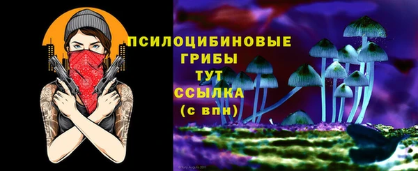 прущий лед Арсеньев