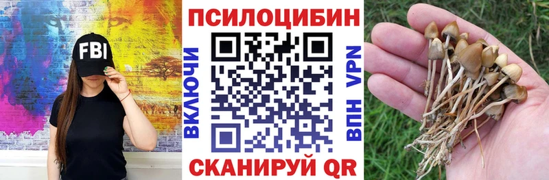 купить закладку  Советская Гавань  Псилоцибиновые грибы Psilocybine cubensis 